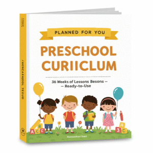 Preschool Curriculum (Pre-K4 / TK)